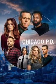 Assistir Chicago P.D.: Distrito 21 online